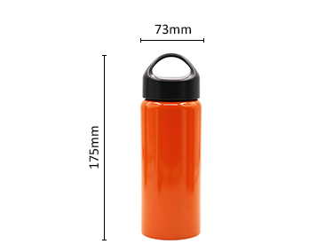 Screw Type Stainless Steel Insulated Vacuum Water Bottle with Leak-Proof Lid