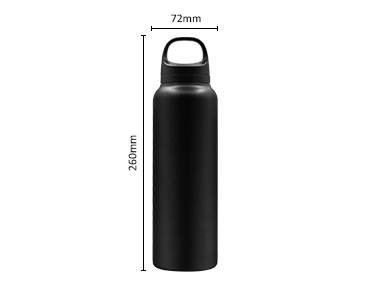 Insulated Stainless steel Sports Water Bottle with SS Tea Strainer