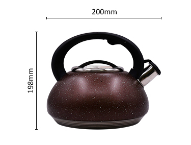 Ricool Premium Quality 3L Stainless Steel Whistling Tea Kettle