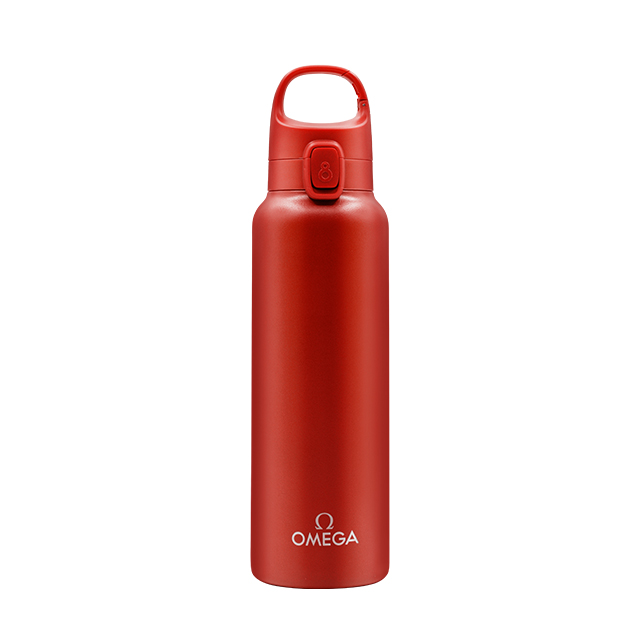 600ml/20oz Customized Color Round Middle Mouth Stainless Steel Wine Bottle With Lid