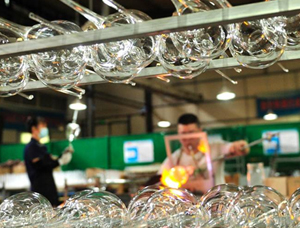 What are the processes involved in the production of glass water cups