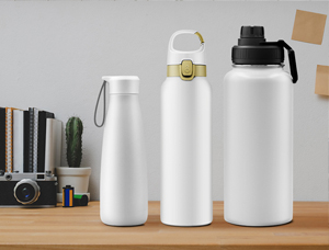 Deciphering Amazon Sales Data: Unveiling American Consumer Preferences for Water Bottle Capacities
