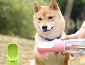 What are the Development Directions of Pet Water Bottles